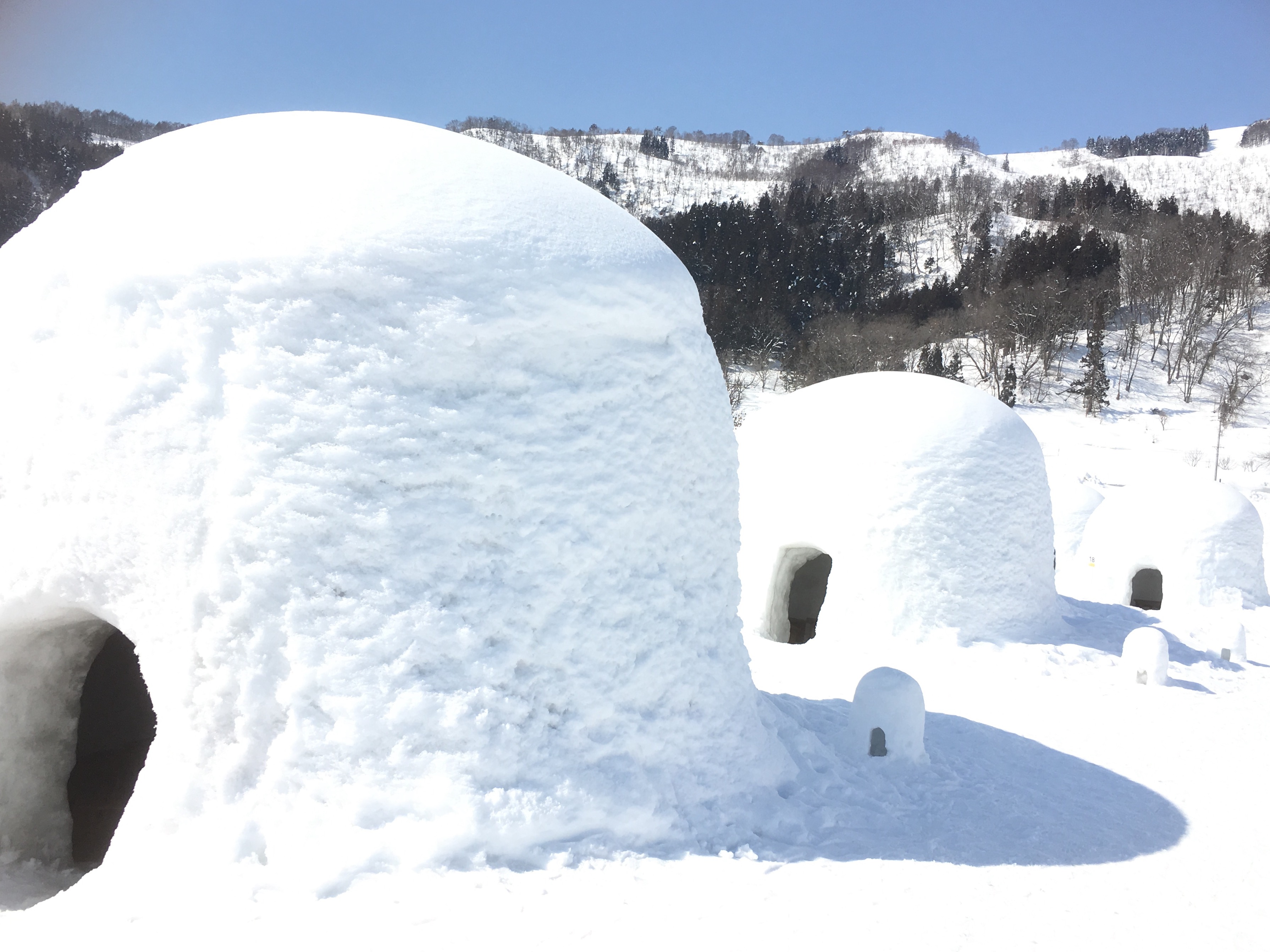 かまくら 長野県長野市の呼吸器内科 睡眠呼吸障害 わかまつ呼吸器内科クリニック